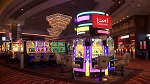 229bet