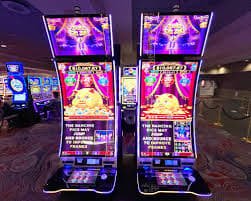 229bet