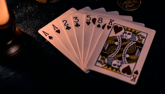 229bet